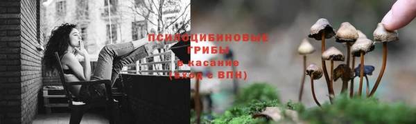 2c-b Аркадак