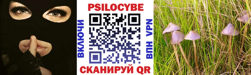 Галлюциногенные грибы Psilocybine cubensis  blacksprut зеркало  Могоча  наркота 
