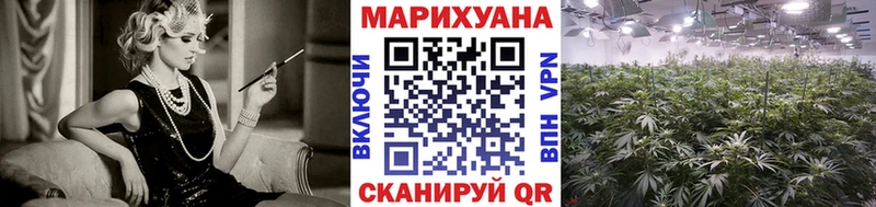 гидра ссылка  Могоча  Каннабис планчик  сколько стоит 